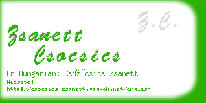 zsanett csocsics business card